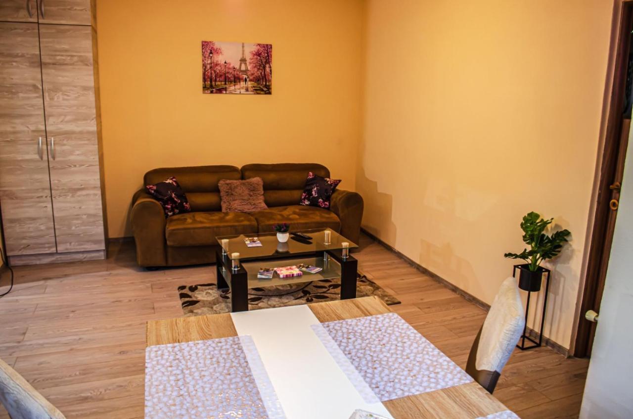 Schaessburg Apartment #1 シギショアラ エクステリア 写真